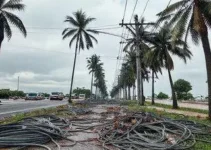 mutirão na Avenida das Palmeiras