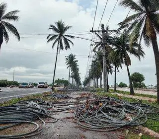 mutirão na Avenida das Palmeiras