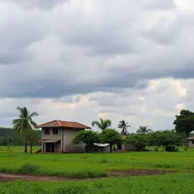 comitê permanente para prevenir impactos climáticos