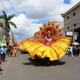 ponto facultativo