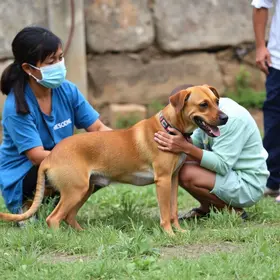 vigilância em zoonoses