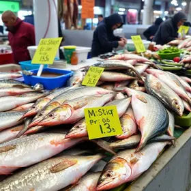 peixe santo