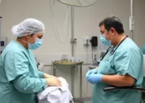 linha de cuidado bariátrico