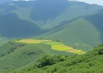 capacitação em gestão ambiental