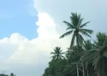alerta de baixa umidade em Cuiabá