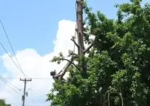 Prefeitura de Cuiabá