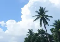 previsão do tempo em Cuiabá