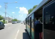 transporte gratuito