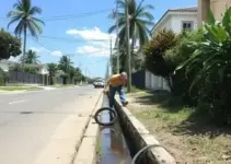 limpeza de bocas de lobo